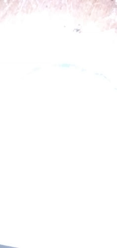 Chamo's Pizza - Gastronomía y hostelería