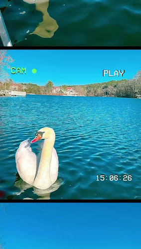 Opinii despre NADINE KARAOKE BAR în Ibagué - Gastronomía y hostelería