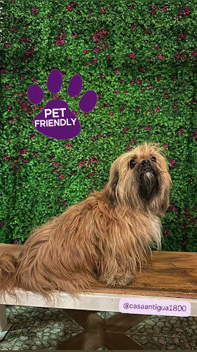 Casa Antigua 1800 - Piedecuesta