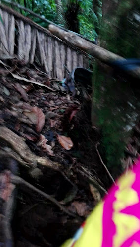 Le Mar Cebichería Restaurante Y Parrilla - Gastronomía y hostelería