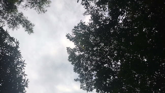 La Ceiba Restaurante Bar.