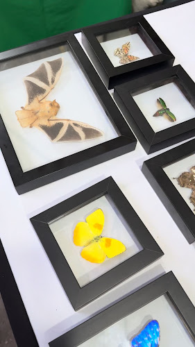 Comentarii opinii despre Mercado de Las Pulgas en Usaquén