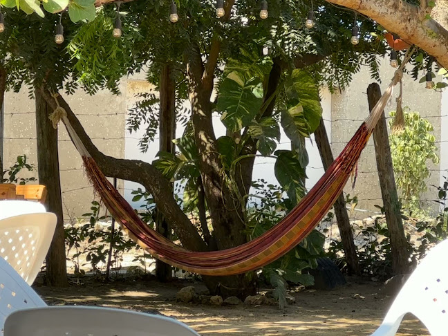 Nikky Beach - Puerto Colombia - CLUB BEACH - RESTAURANTE - BAR. - Pradomar, Puerto Colombia