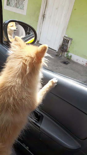 Comentarii opinii despre BBC Bodega La Grama