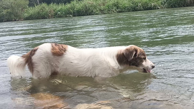 Restaurante El Ranchito de Lucho