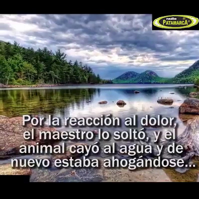 Cafe a lomo de mula - Cartago, Pereira