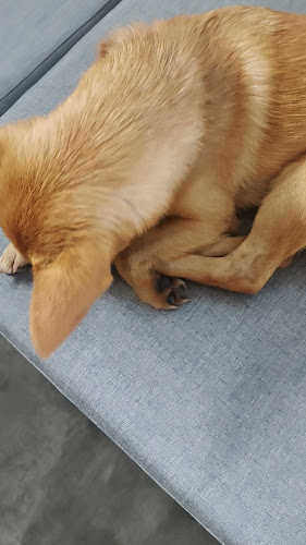 Opinii despre Gracia by Popurrí în Ibagué - Gastronomía y hostelería