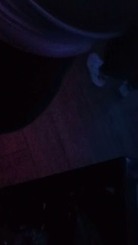 Comentarii opinii despre ICE CLUB MANIZALES