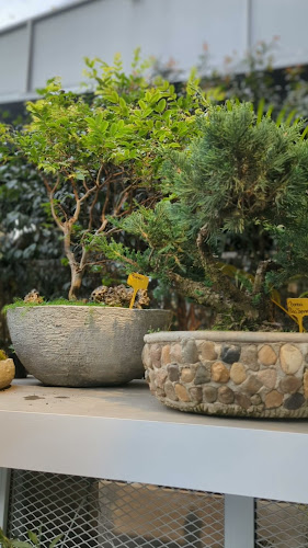 Opinii despre Cafe La Mata în Bogotá - Gastronomía y hostelería