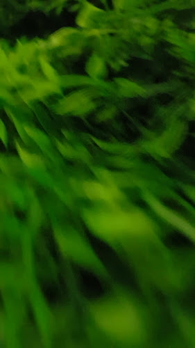 Restaurante de Disco Billar