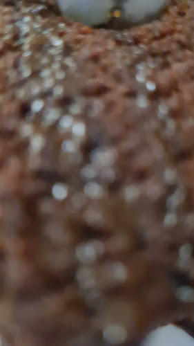 El Galápago Centro - Gastronomía y hostelería