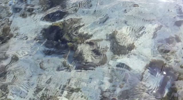 Opinii despre Restaurante Mi Rincón Mexicano în Tunja - Gastronomía y hostelería