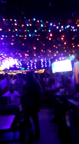 Milagros Fonda - Palmira