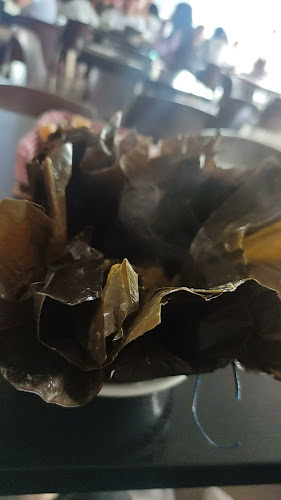 Gurús Floresta - Bogotá