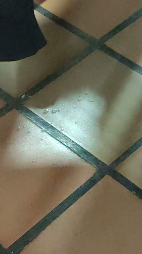 Grill Pizza, Pizzeria y comidas rápidas. - Gastronomía y hostelería