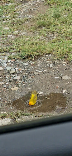 Opinii despre La Casa Del Merengón în Calarcá - Gastronomía y hostelería