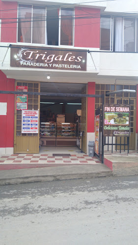 Trigales Panaderia y Pastelería - Gastronomía y hostelería