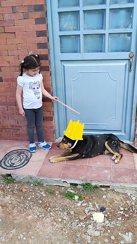 Comentarii opinii despre Panadería Los Trigales