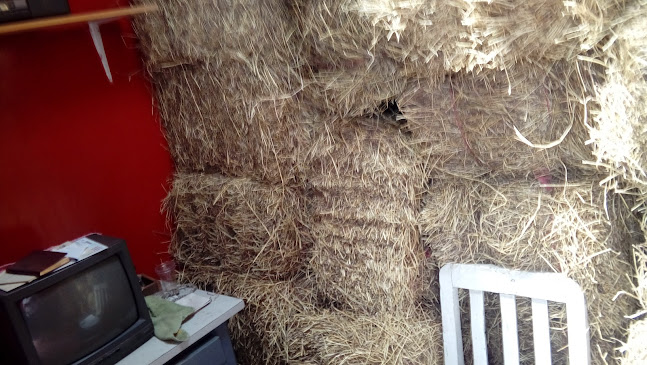 Venta de cascarilla Leito