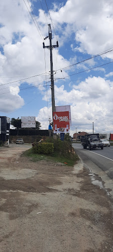 Fresas Salvajes - Guarne