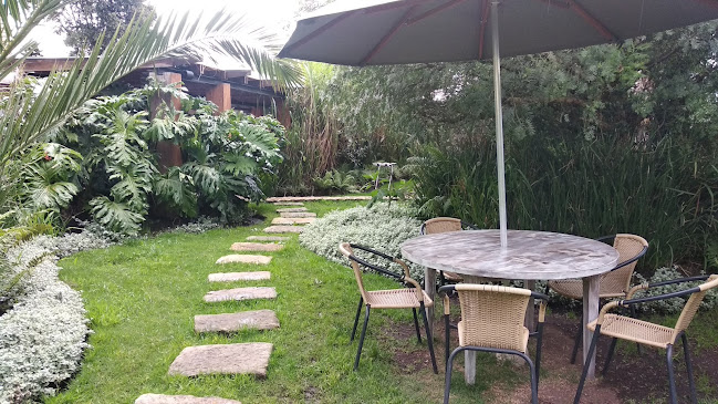 Comentarii opinii despre Celestina