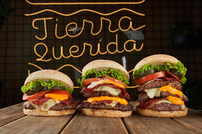 Tierra Querida soledad