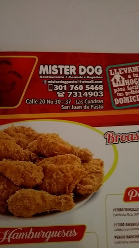 Mister Dog - Pasto