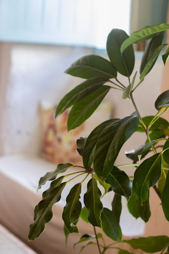 Cra. 19 #22-5, La Ceja, Antioquia