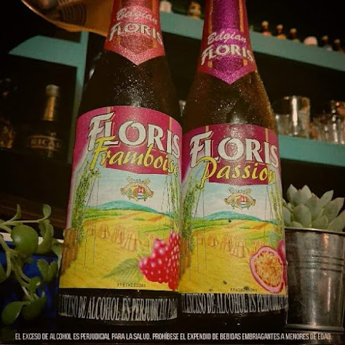 VINOLA Bar - Cartago