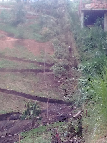 Finca la mancha - Cafeologist