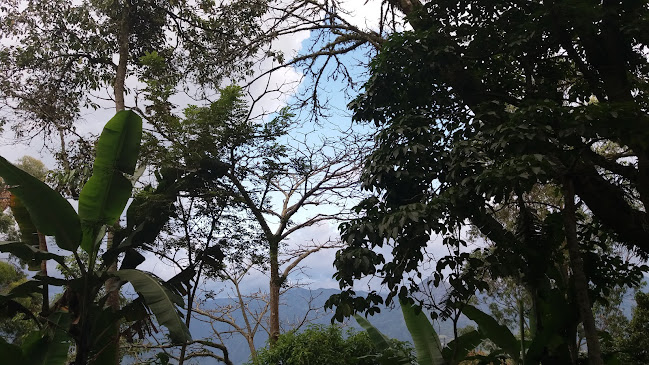 Bar Los Alpes Santa Bárbara - Santa Bárbara