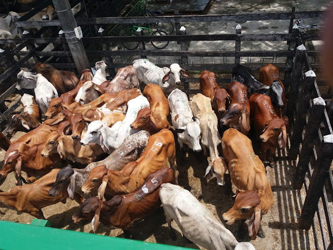 Opinii despre Frigorifico Del Cauca SAS în Caucasia - Gastronomía y hostelería