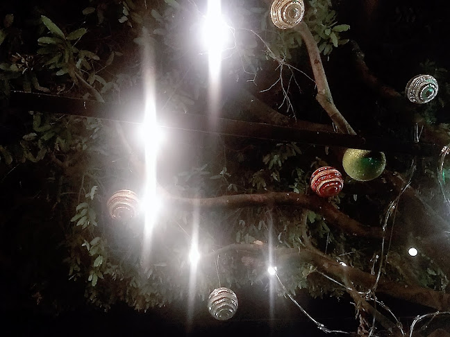 Comentarii opinii despre Estanco Don Pedro