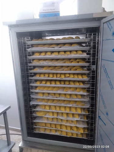 Empanadas congeladas