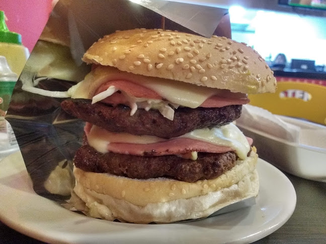 Mister Dog - Gastronomía y hostelería