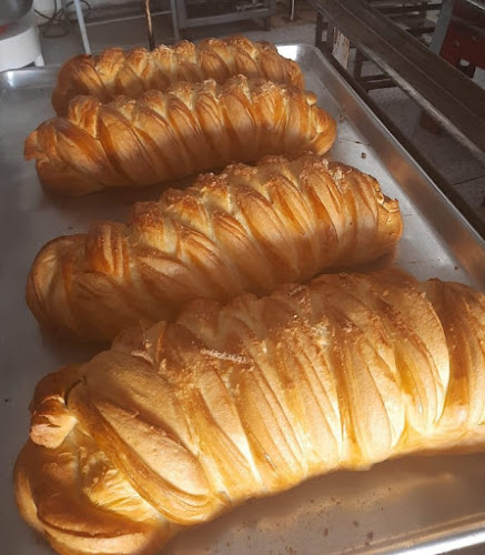 Opinii despre Panaderia y cafeteria el pan de hoy în Chía - Gastronomía y hostelería