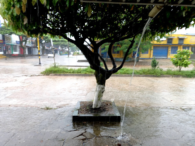 Opinii despre El Rancho Llanero în Leticia - Gastronomía y hostelería