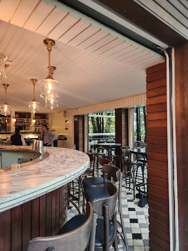 Comentarii opinii despre Black Bear