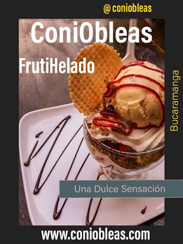 Comentarii opinii despre ConiObleas