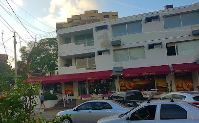 La Bodega de los Vinos