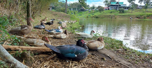 Cl. 5 Nte. #9-37, Centro, Popayán, Cauca
