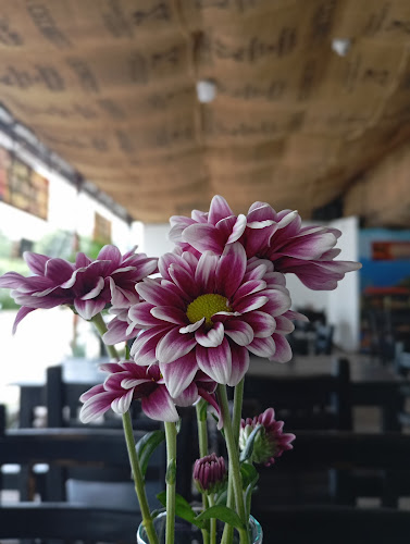 Carrera 3ª A, Piedecuesta, Santander