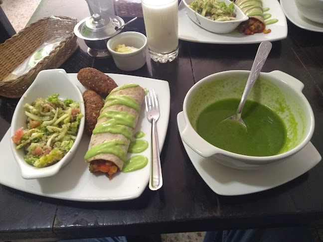 Comentarii opinii despre Flor de Loto Gourmet