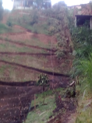 Finca la mancha - Cafeologist - Rionegro