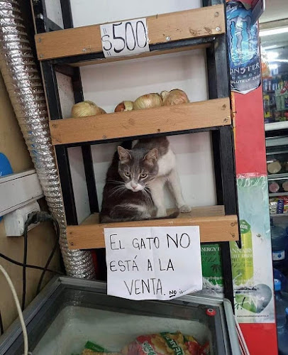 CENTRO INTERACTIVO - Ocaña