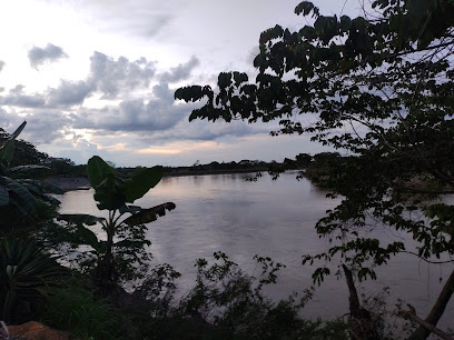 Bola E' Burro | Billar Y Gallera