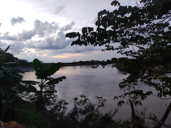 Bola E' Burro | Billar Y Gallera