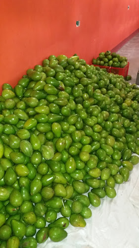 La cosechita del Campo - Gastronomía y hostelería