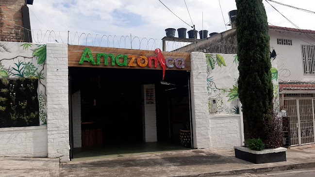 RESTAURANTE AMAZÓNICA - Villavicencio