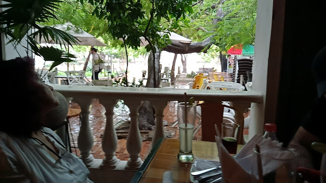 Comentarii opinii despre Bijao Cocina & Bar